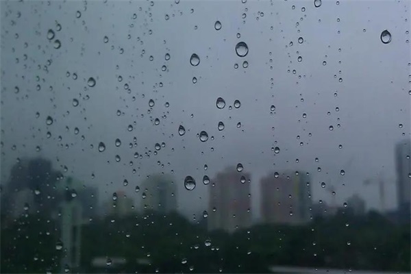上海天气24小时预报实时即时天气【上海天气24小时预报实时即时天气查询 】